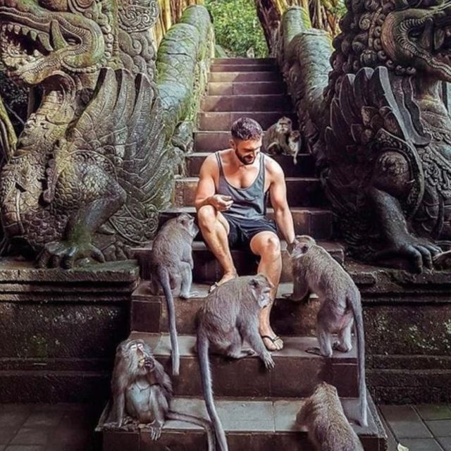 Bali: Ubud Highlights Tour With Private Guide and Transfers - Full Description