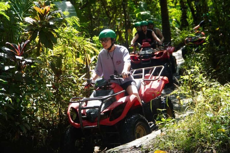 Bali: Ubud Jungle and Dragon Cave ATV Tour - Who Will Love This Tour?