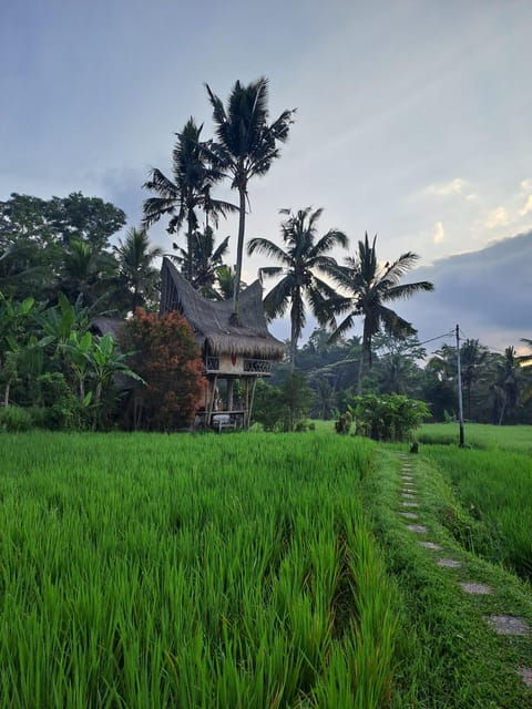 Bali : Ubud Magnificent Sight Private Tour - Key Points
