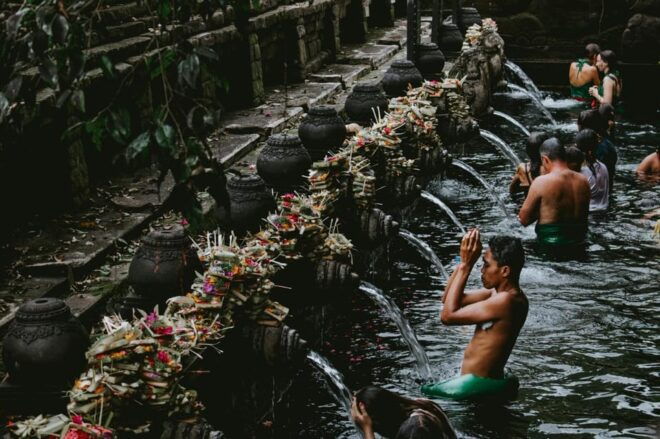 Bali : Ubud Magnificent Sight Private Tour - Driver Experience and Insights
