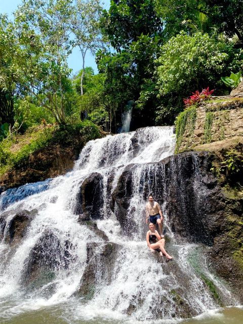 Bali: Ubud Monkey Forest, Rice Terrace, Waterfall, & Temple - Monkey Forest: Discover the Natural Habitat of Long-Tailed Macaques