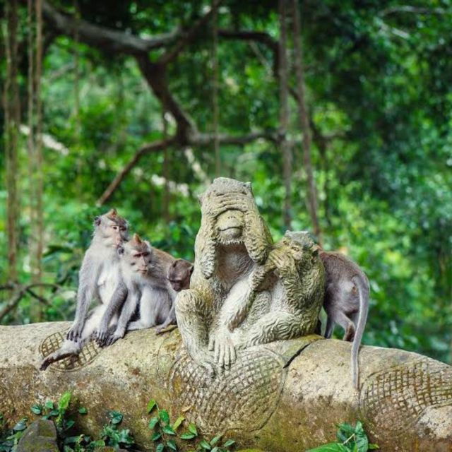 Bali Ubud : Monkey Forest, Waterfall , Temple - Good To Know