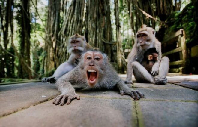 Bali: Ubud Nature Tour - What to Bring