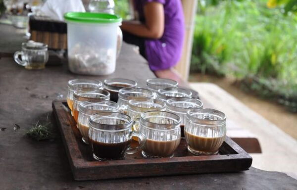 Bali: Ubud Nature Tour - Pickup and Drop-off Locations