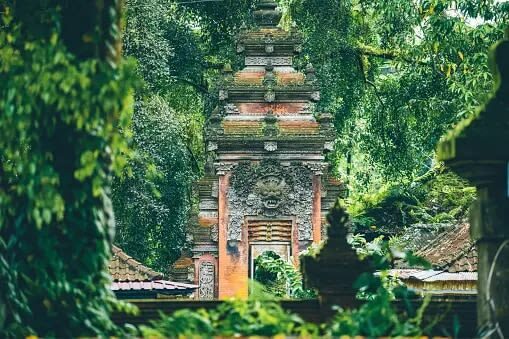 Bali Ubud Palace & Tirta Empul Private Full-Day Tour - What makes this Ubud day tour useful