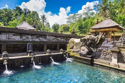 Bali Ubud Palace & Tirta Empul Private Full-Day Tour - Lunch is your own choice, and your own bill