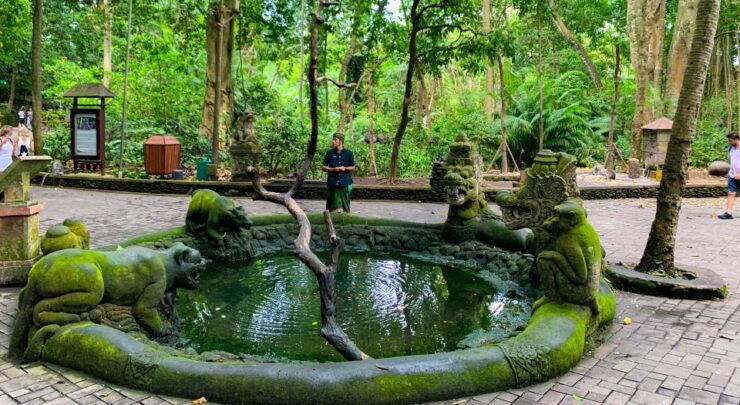 Bali: Ubud Private Full-Day Tour With Transfer - Tour Details