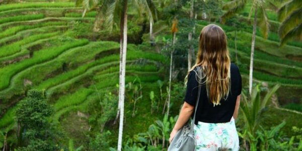 Bali: Ubud Private Tour With Monkey Sanctuary & Waterfall - Important Tips for Travelers