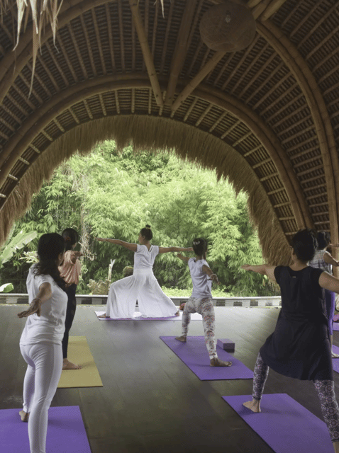 Bali: Ubud Private Yoga and Healing Meditation - Benefits of Private Yoga