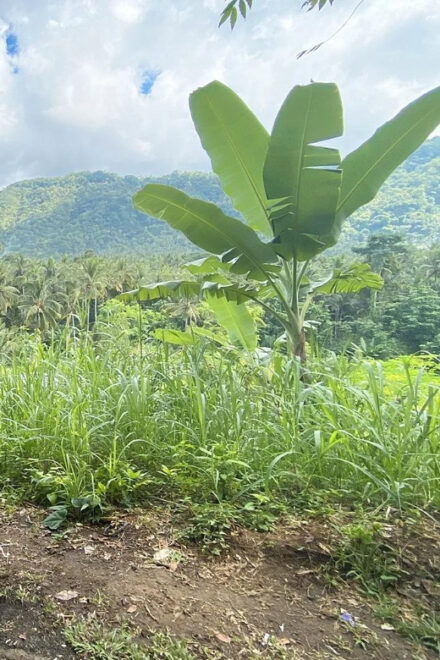 Bali Ubud Rafting and ATV Activities With Hotel Transfer - Important Information