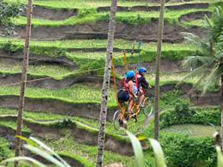 Bali: Ubud Rafting and Swing Adventure - Pricing and Reservation