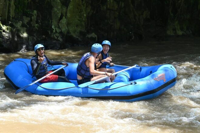 Bali: Ubud Rafting and Swing Adventure - Scenic Highlights