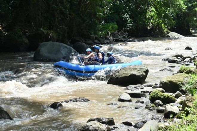 Bali: Ubud Rafting and Swing Adventure - Additional Activities