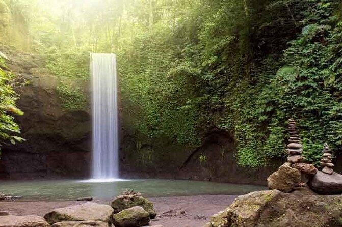 Bali: Ubud Rice terrace, water temple, and waterfall Tour - Who Is This Tour Best For?