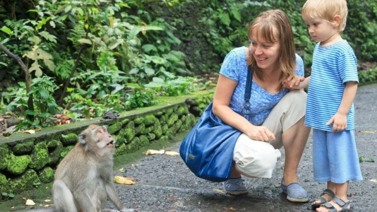 Bali: Ubud Rice Terraces, Monkey Forest & Waterfall Tour - Tour Highlights