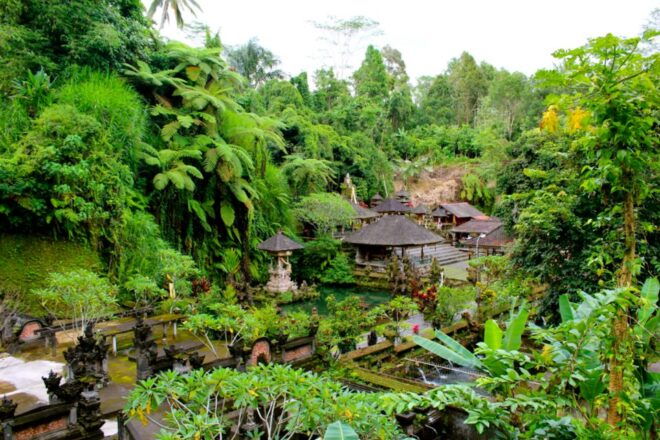 Bali: Ubud Rice Terraces, Temples and Volcano Day Trip - Review Summary