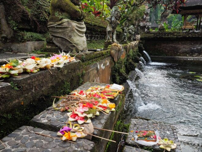 Bali: Ubud Rice Terraces, Temples and Volcano Day Trip - Other Information