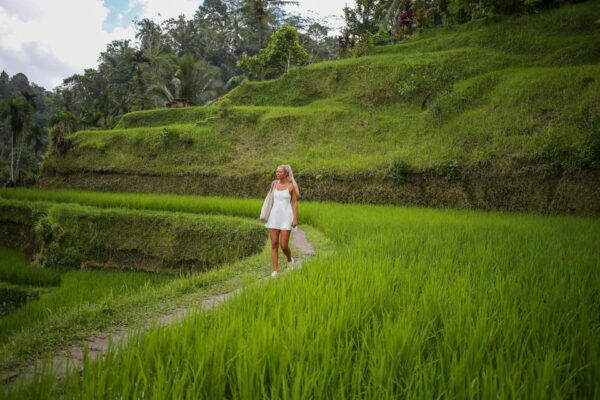 Bali: Ubud Serenity Tour With Tegenungan Waterfall - Shopping at Ubud Traditional Art Market