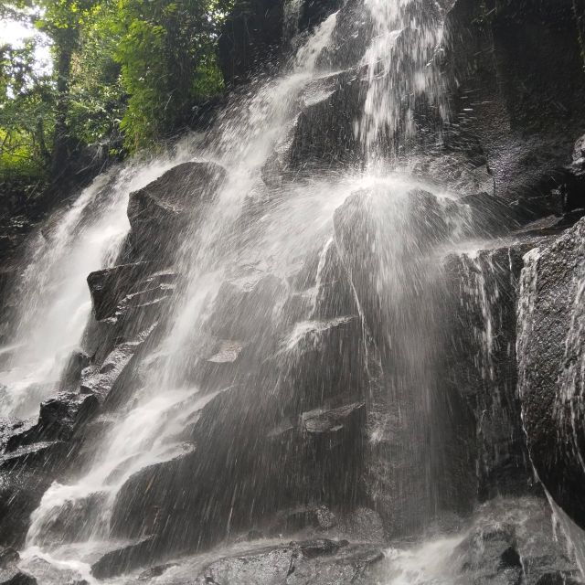 Bali: Ubud Short Trip Waterfall & Rice Terraces Walk - Booking Details