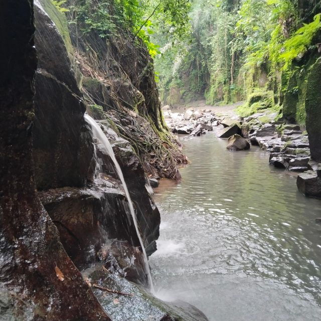 Bali: Ubud Short Trip Waterfall & Rice Terraces Walk - Tour Experience