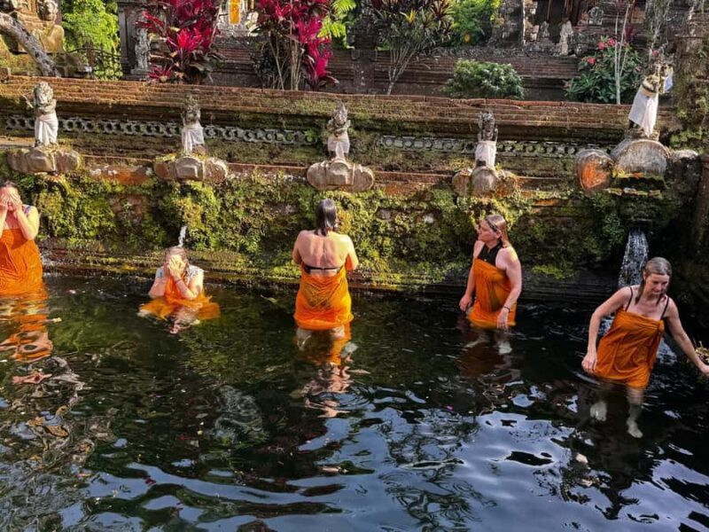 Bali: Ubud Spiritual Cleansing and Meditation Healing Tour - Who Should Consider This Tour