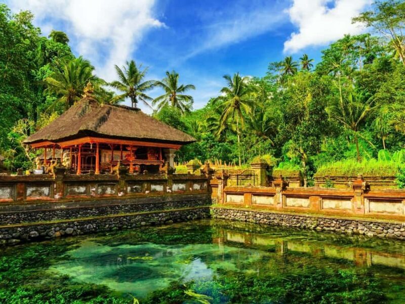 Bali: Ubud Spiritual Journey with purification ceremony. - What Makes This Tour Stand Out?