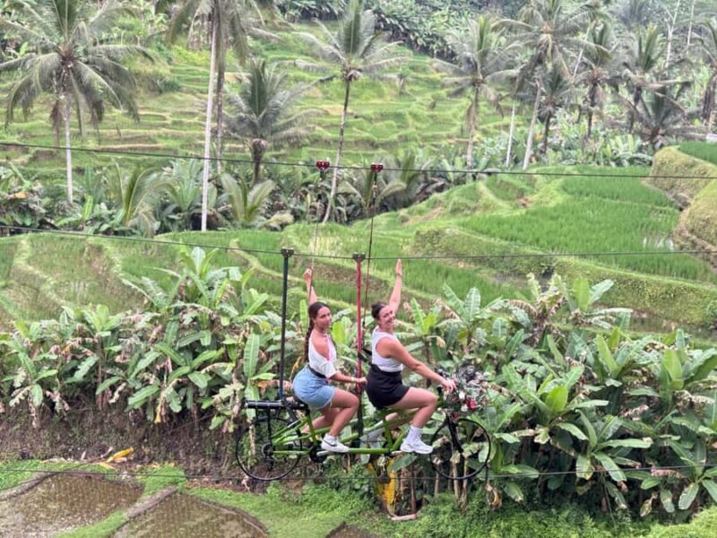 Bali/Ubud: Swing, Zipline & SkyBike Rice Terrace Adventure - The Value of the Experience
