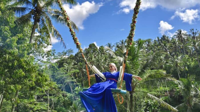 Bali/Ubud: Swing, Zipline & SkyBike Rice Terrace Adventure - Real Experiences & Insights from Reviews