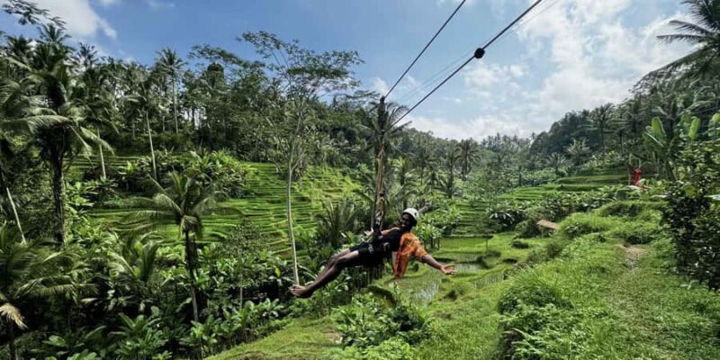 Bali/Ubud: Swing, Zipline & SkyBike Rice Terrace Adventure - A Closer Look at the Bali/Ubud Rice Terrace Adventure