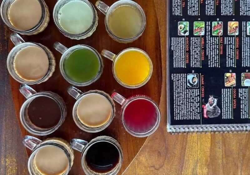 Bali: Ubud Temple, Rice Terrace, and Waterfall Tour - Who Should Consider This Tour?