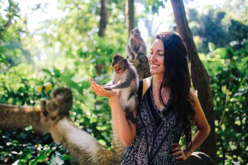 Bali: Ubud (Temple, Spring, Rice Terraces, & Waterfall) - An In-Depth Look at the Ubud Day Tour