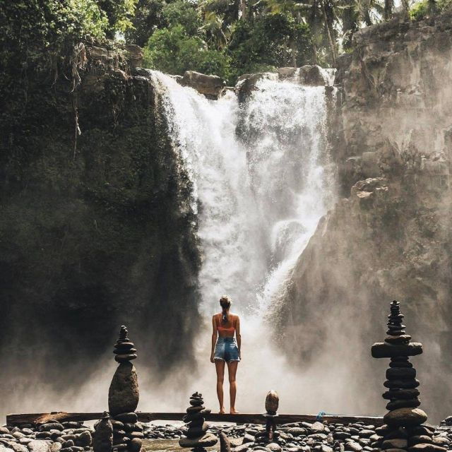 Bali Ubud Tour Best of Ubud Higlight With Private Transfers - Tour Overview