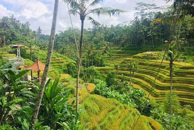 Bali Ubud Tour - Tour Highlights