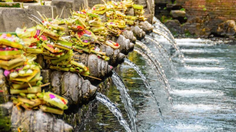 Bali: Ubud Tour with Sacred Monkey Forest & Rice Terraces - The Sum Up