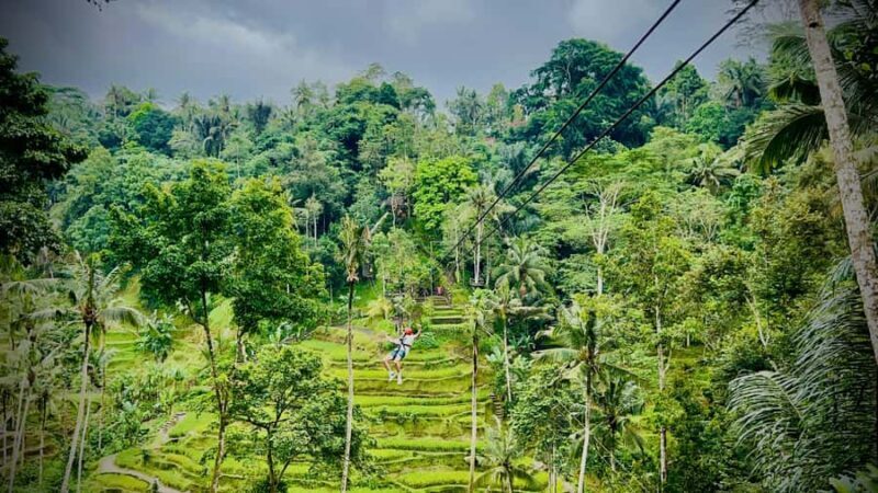 Bali: Ubud Zipline, Goa Raja Waterfall and swing adventure - Final Thoughts: Why This Tour Is a Great Choice