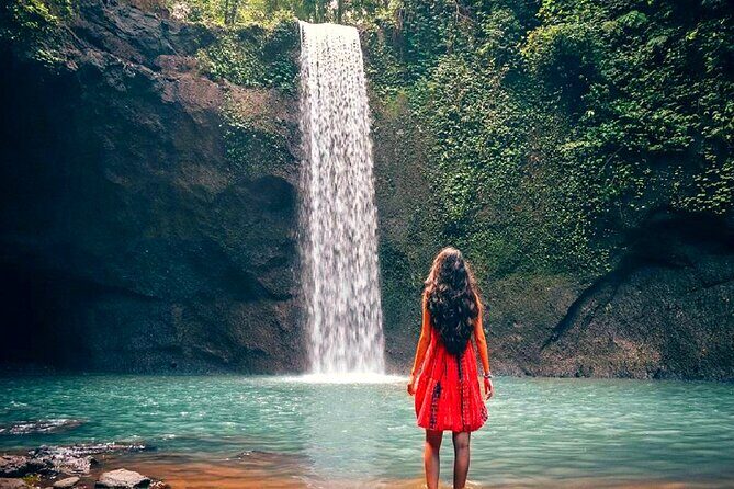 Bali Ubud Zipline, Monkey Forest and Waterfall Adventure - A Deep Dive into the Experience