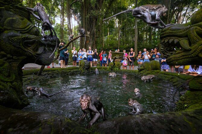 Bali Ubud Zipline, Monkey Forest and Waterfall Adventure - Who Is This Tour Best For?