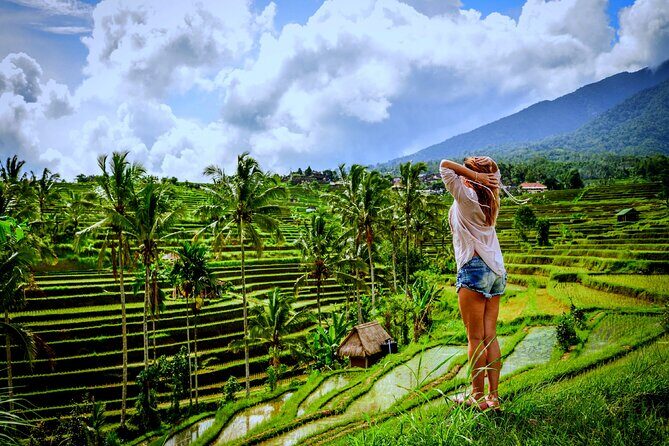 Bali Ubud Zipline River Rafting and Rice terrace Tour with Lunch - A Deep Dive Into the Ubud Zipline, River Rafting & Rice Terrace Tour