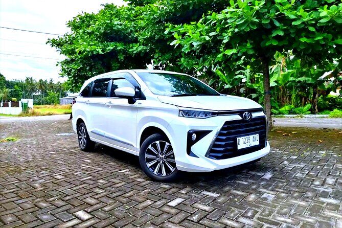 Bali Ubud Zipline River Rafting and Rice terrace Tour with Lunch - An Authentic Bali Adventure: What to Expect