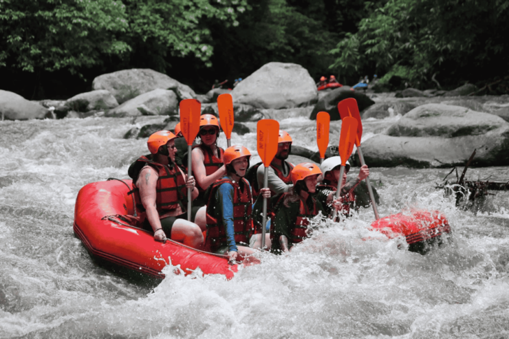 Bali: Ultimate Ayung River Rafting Experience & Buffet Lunch - Itinerary Details