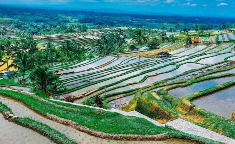 Bali : Ulun Danu Beratan Temple and UNESCO Rice Terrace Tour - Good To Know