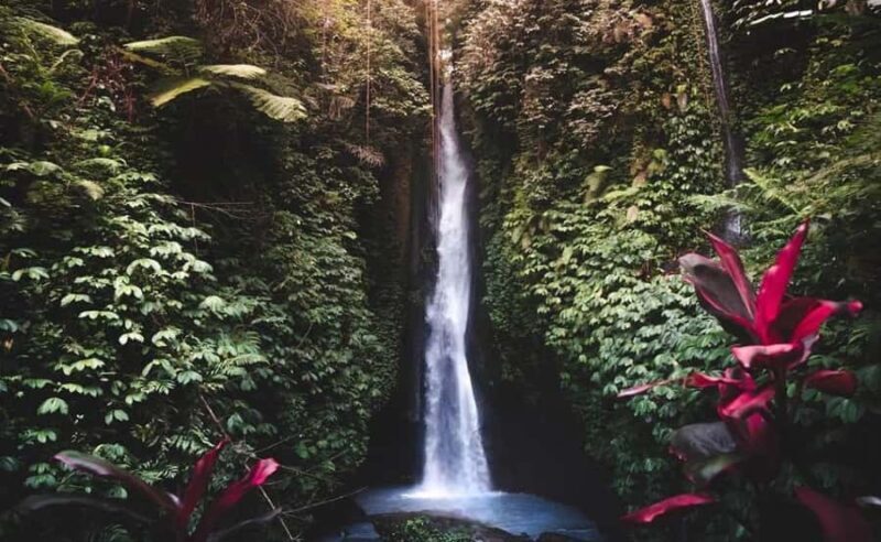 Bali : Ulun Danu Beratan Temple and UNESCO Rice Terrace Tour - Authentic Insights from Past Travelers