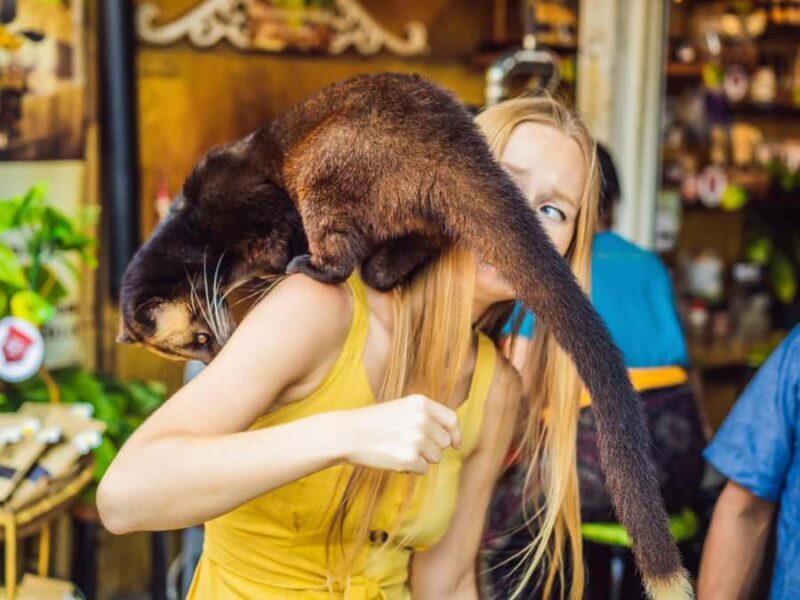 Bali: Ulun Danu Beratan Temple, Wanagiri & Jatiluwih tour - Authentic Insights from Past Travelers