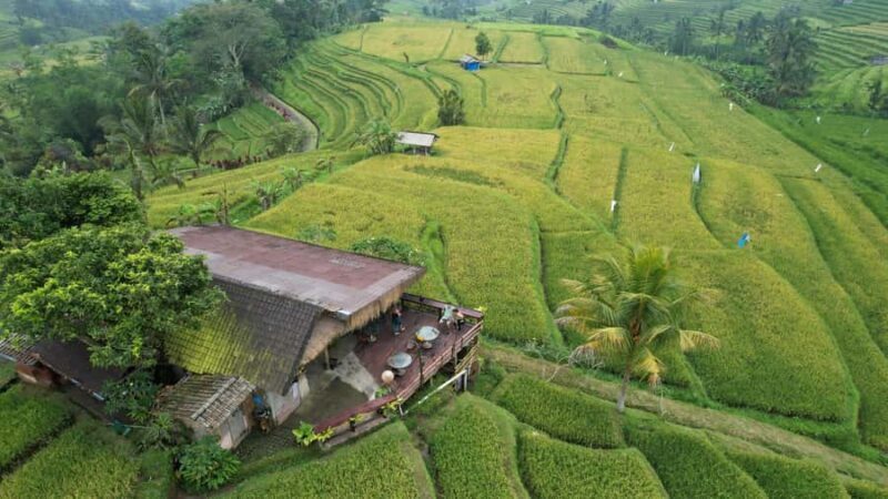 Bali: Ulun Danu Beratan Temple, Wanagiri & Jatiluwih tour - FAQ
