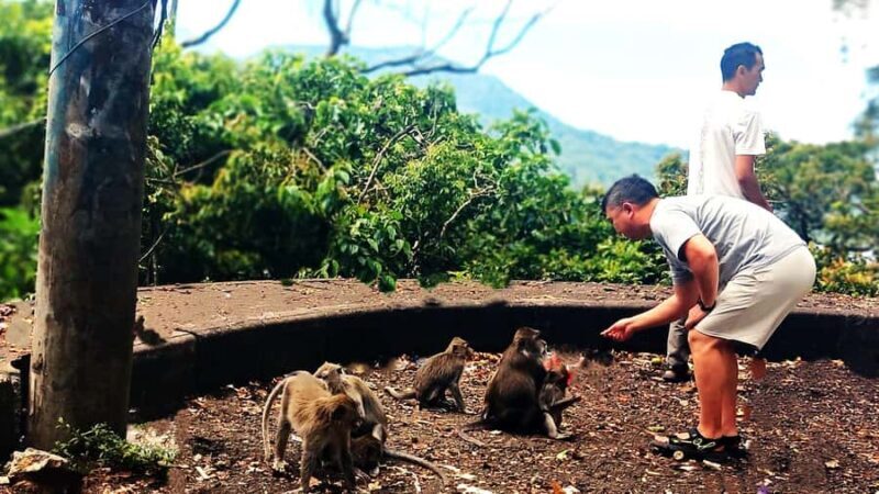 Bali: Ulun Danu Temple, Waterfall, and Twin Lakes Tour - The Practicalities: What to Keep in Mind