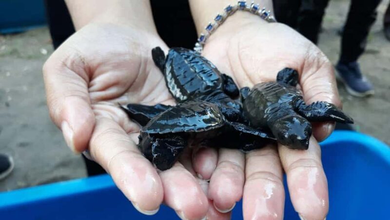 Bali: Uluwatu Tour With Flexible Itinerary Options - Practical Details & What to Expect