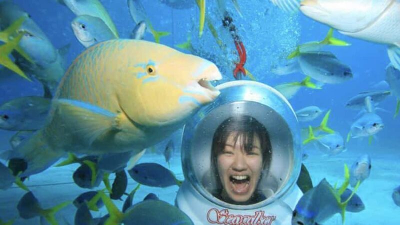 Bali: Underwater Sea Walk, Uluwatu Temple, and Kecak Dance - Good To Know