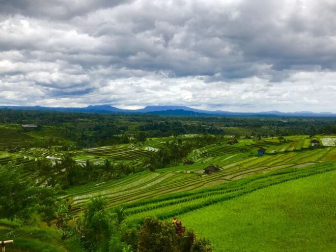 Bali UNESCO Sites: Private Guided Full-Day Tour - Additional Information