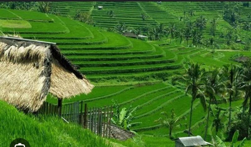 Bali: Unesco Tour with Batur Karu Temple & Jatiluwih - Good To Know