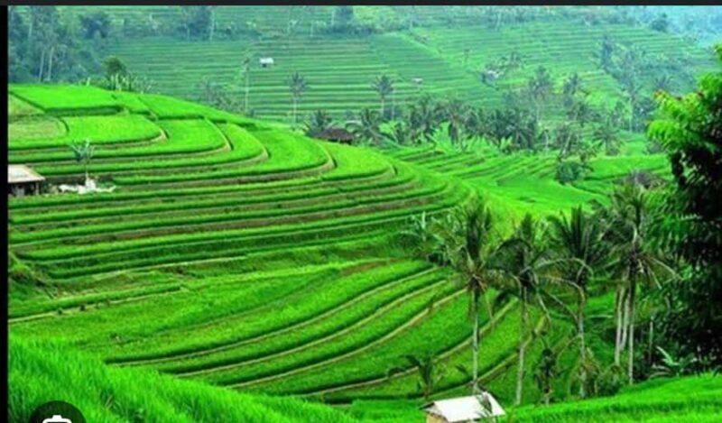 Bali: Unesco Tour with Batur Karu Temple & Jatiluwih - The Value and Practical Aspects